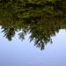 View the image: Upside Down Reflections