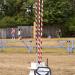 View the image: Jousting poles