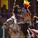 View the image: Magestic Joust