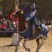 View the image: Jousting