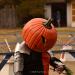 View the image: Pumpkin King