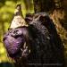 View the image: Purple Tree Guardian