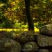 View the image: Stone Wall