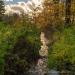 View the image: Golden hour stream