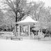 View the image: Gazebo in black and white