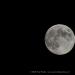 View the image: Harvest Moon