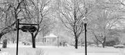View the Album: Snow Day
 11 images
