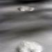 View the image: Tracks in snow