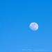 View the image: Day moon
