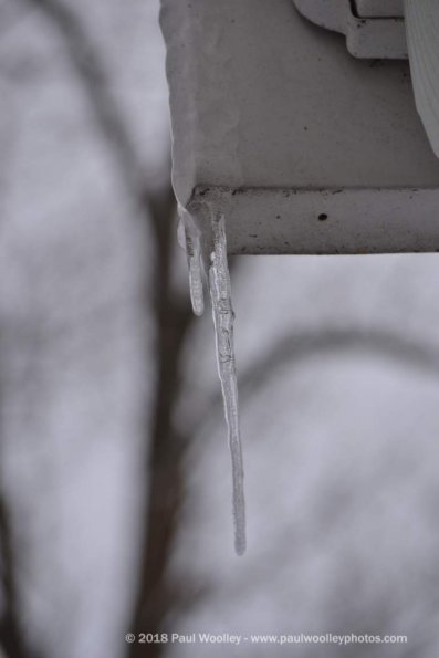 Dangling parti-icicle.