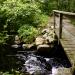 View the image: Bridge over not so troubled waters