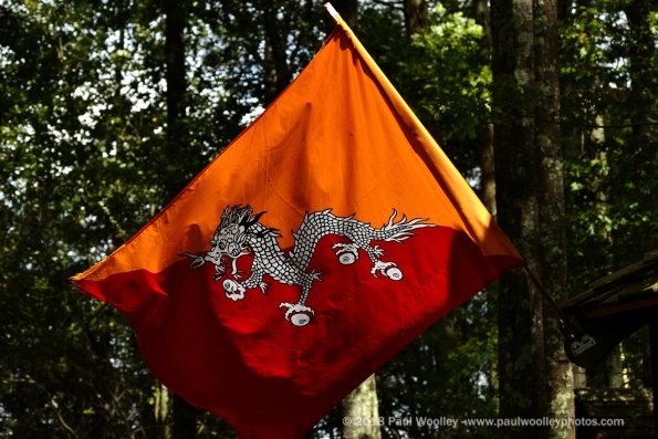 Dragon flag