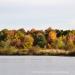 View the image: Fall at the river