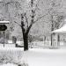 View the image: VFW Square in the snow