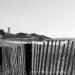 View the image: Nobska fence
