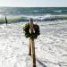 View the image: Ocean Wreath